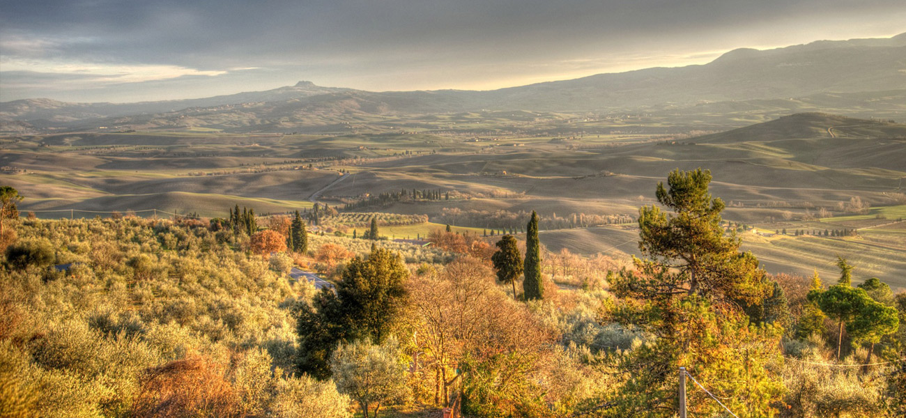 Tuscany Tours